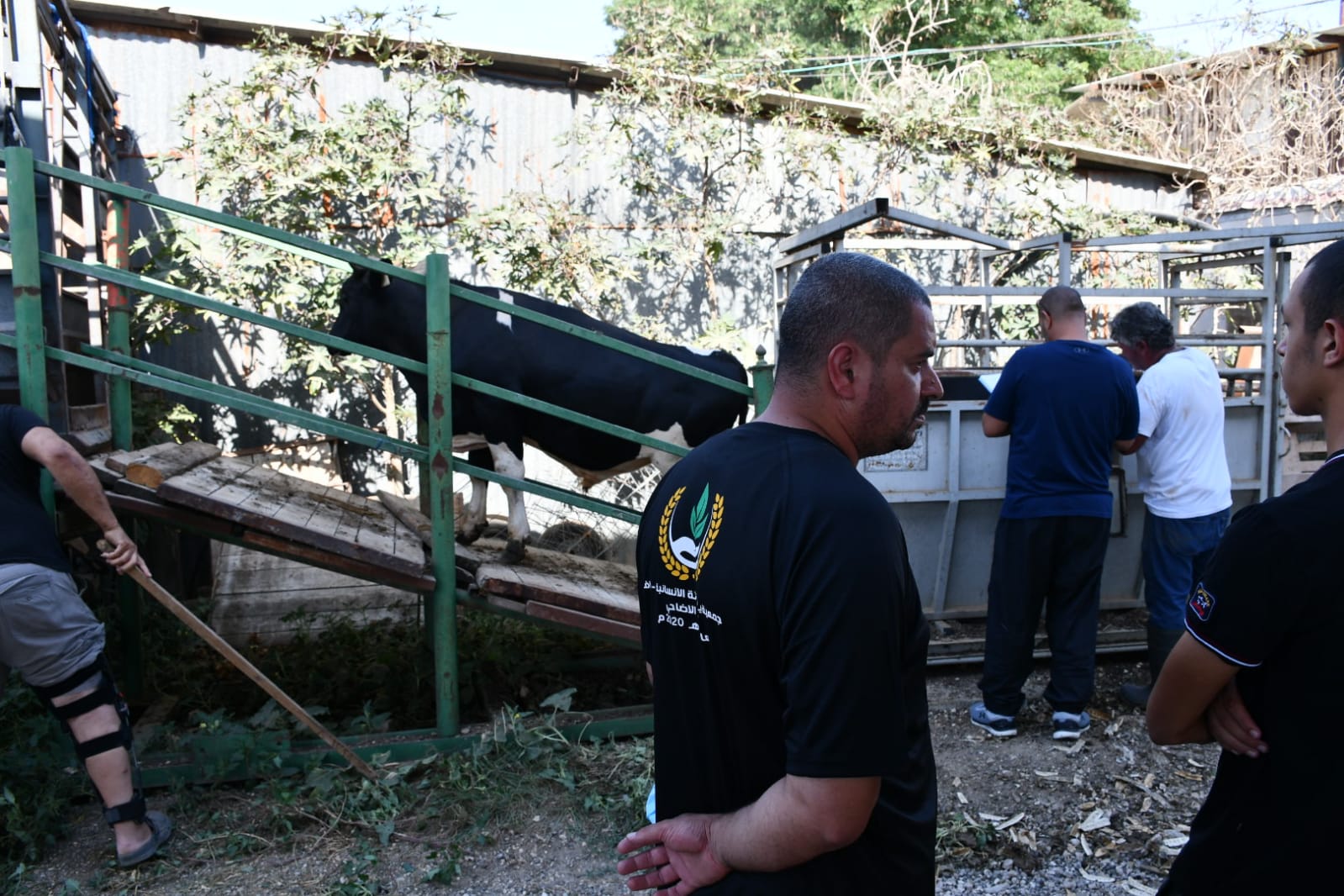 WhatsApp Image 2020-07-30 at 4.34.28 PM.jpeg.jpeg